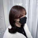 담비미용실 이미지