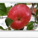 소정농장 이미지