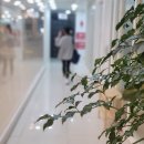 목동역필라테스 대규모 스파가 있는 피트니스바이블