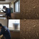 평택식당 이미지