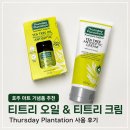 호주 마트 쇼핑 추천! 피부 진정템 티트리 제품 내돈내산 구매 후기