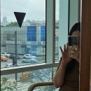 바비채 | 프루티헤어 비채쌤 내돈내산 후기