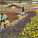 야간도심테마 이미지