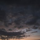 금천농장 2 이미지