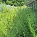 플러스1 태양광발전소 이미지