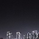 바람꽃공원 이미지