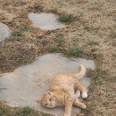 여시물길 이미지