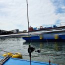 애자이모식당 | 인천쭈꾸미낚시 오후 예약 남항 낚시배 추천 후기