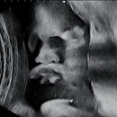 (주)미가원 이미지