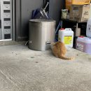 여주-1017 이미지