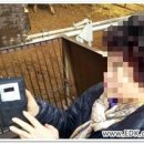 뒤뜰농장 이미지