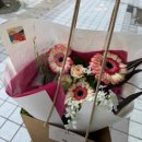 수내역 꽃집 단골 독보적 미감 수내 꽃집 플로리헷