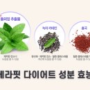 주식회사원푸드 | 베라핏 다이어트 성분 가격 후기 총정리