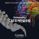 서울장신대학교 일반대학원 | <두개천골요법> 테라피스트의 가장 심오한 터치 - 코몽드아카데미 오스테오파시과정