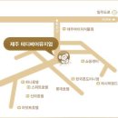 테디베어뮤지엄서울