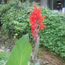 등원1리 이미지