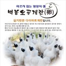 예천 백봉오골계 농장