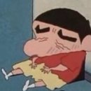 푸돼지