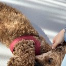 문스짐(Moon`s Gym) 이미지