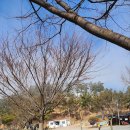 태안둘레길캠핑장 | 태안 둘레길캠핑장 B1 이 뷰 보고 나서 다른 캠핑장 못 가요