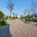 버드오토캠핑장 이미지