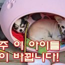 (주)아이,이,아이