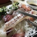 중도매인 35호 | 노량진수산시장모듬회 대원수산에서 즐겨본 후기