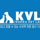 팝애니랩 이미지