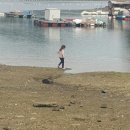 남일대리조트 해수월드 이미지