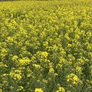 달하우스 | 🍊제주도 한달살기🍊 게스트하우스 스탭 후기 ⭕️ 비용 ⭕️ 숙소 ⭕️ 꿀팁 ‼️‼️