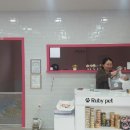 루비 애견샵 이미지