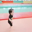 팡팡바운스
