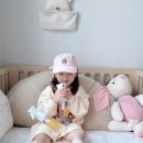 버그클린 이미지
