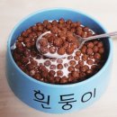 대일맨션(아), 금학 | 럭키박스인데 택배 문자로 스포 당함… 충격의 댄꼼마 후기