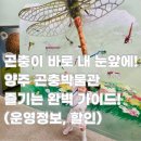 양주곤충박물관 | 양주 아이와 가볼만한 곳, 곤충 체험 가득! 양주곤충박물관 솔직 후기 (시간, 주차, 요금)