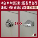 현대2차 | 누르는 양변기 물내림 버튼을 내림 방식 레버로 교체한 후기 상계현대2차