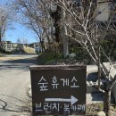숲 휴게소 | 숲휴게소 브런치 내돈내산 후기