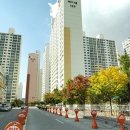 버드내 약국 네이버블로그