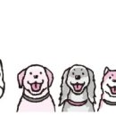 더본 동물병원 이미지