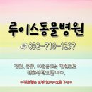 루이스24시동물병원 이미지