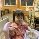 덕현칼국수 | 충북혁신도시 진천 맛집 덕현칼국수 해물칼국수 내돈내산 후기