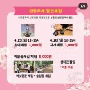 장촌마을 | 용인 묵리 장촌마을 봄꽃 나들이 -어린이 농장체험 50%할인 신청하세요.