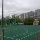 구갈레스피아 게이트볼장 이미지