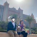 [오엠쥐별록] 23개월 아기랑 어쩌다 한달반살이 in UAE #9 팜 쥬메이라, 두바이 수크 , 타베르나
