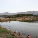 천평지낚시터 이미지