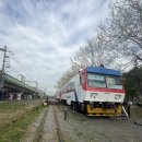 적금로 | 🚂 안산 세라티카페 후기! 실제 기차 안에서 커피 마시는 이색카페 💛