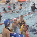 향남 KSC 키즈풀 이미지