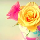 행복나무 이미지