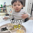 파주건강한아기밥상 건아밥 아기반찬추천 솔직후기
