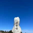 명산사슴농장 이미지